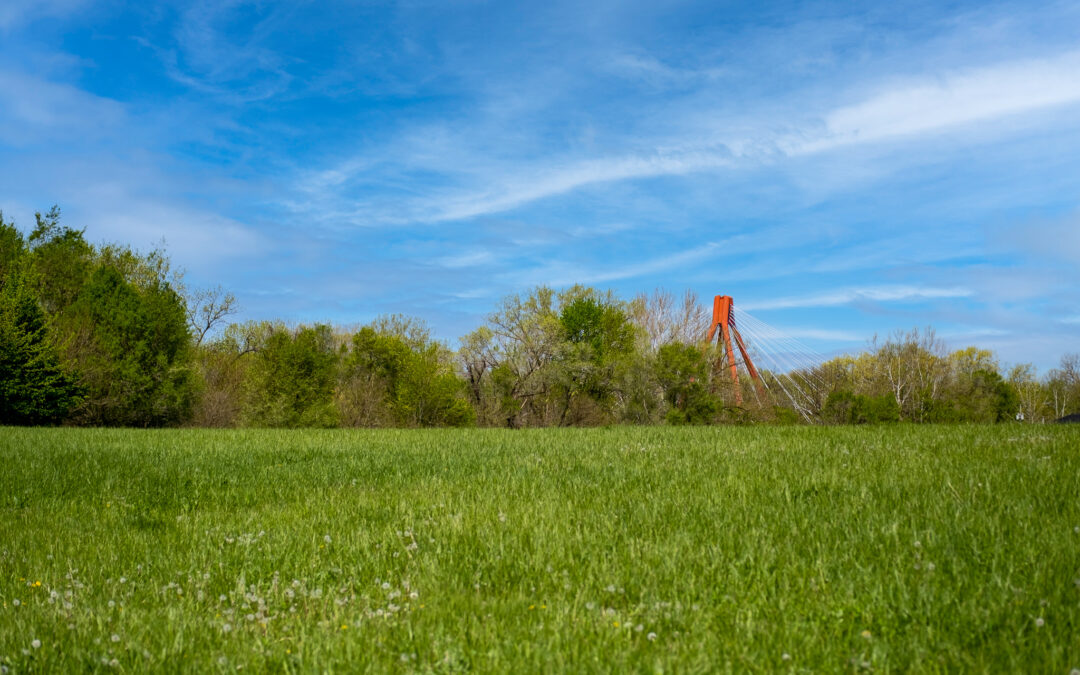 Market Commentary – 01/05/2026